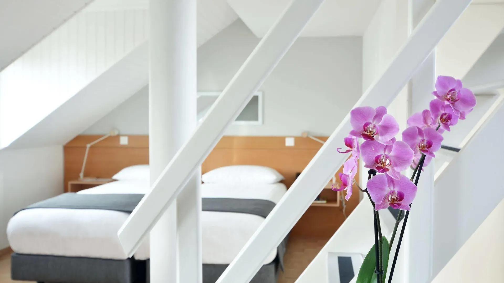 Hotel Des Alpes Geneva