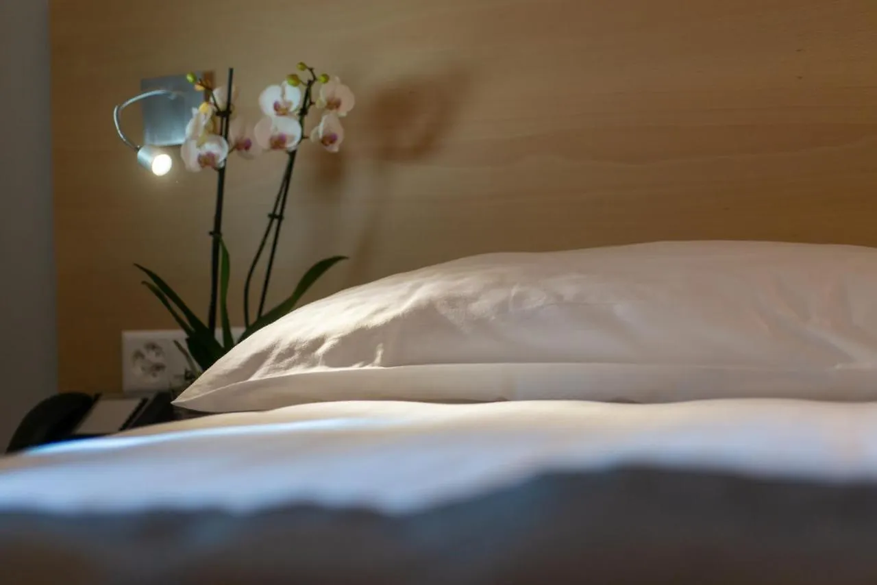 ***  Hotel Des Alpes Genf Schweiz